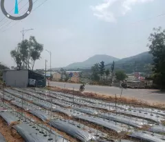 2 Mặt tiền quốc lộ 20, hiệp an, đức trọng cũ, lâm đồng