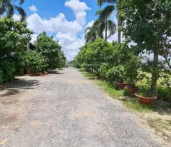 Đất lớn 2 mặt tiền lớn Phạm Thị Giây - Hóc Môn, giá 180 tỷ... Diện tích: 46 x 178m
