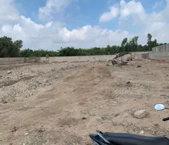 BÁN GẤP Đất Kênh A Bình Lợi Bình Chánh 2220m2 chỉ 59 tỷ! Thu hút đầu tư.
