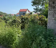 Bán đất Thượng Tùng, Yên Dũng, Bắc Giang. 106m2- Mt 6,3m. đường ô tô. giá 890 triệu
