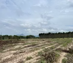 Bán 2000m2 đất Tân Bình - LaGi giảm 50% 500 triệu/1000m2 đường ô tô né nhau