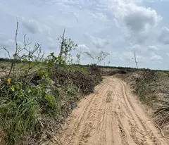 Bán 2000m2 đất Tân Bình - LaGi giảm 50% 500 triệu/1000m2 đường ô tô né nhau