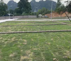 SÁT VÁCH HÀ NỘI – CHỈ HƠN 300 TRIỆU SỞ HỮU NGAY ĐẤT ĐẸP, SỔ RIÊNG
