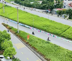 nhà mặt phố Lâm Du, 240m, mặt tiền 6m, nở hậu, cách cầu Trần Hưng Đạo 200m