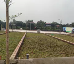 CƠ HỘI SỞ HỮU ĐẤT FULL THỔ CƯ 100m² – ĐỒNG TRẠI, CỔ ĐÔNG (SƠN TÂY