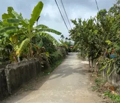 Bán lô góc 72,2m2 tại Thù Du, Minh Tân, Kiến Thụy giá cực tốt - ZALO 0567 222 555