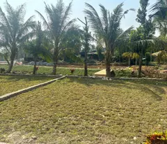 CHỈ HƠN 300TR – CHỐT NGAY ĐẤT TRUNG TÂM BA HÀNG ĐỒI | SỔ ĐỎ SẴN – KHAI THÁC NGAY 💥