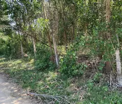 BÁN ĐẤT KHÁNH VĨNH - GẦN KHU DU LỊCH YANG BAY - CÓ VIDEO