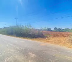 1ha mặt tiền nhựa chính vào thác Pongour, phú hội cũ, đức trọng, lâm đồng