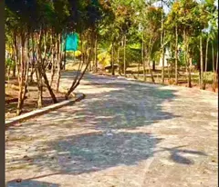 Bán gấp lô đất xã Hiệp Hòa tdt 6500m2 ( 300m2 thổ ) đường đá xanh 5m giá 5,5 tỷ