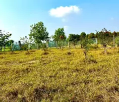 Bán gấp lô đất xã Hiệp Hòa tdt 6500m2 ( 300m2 thổ ) đường đá xanh 5m giá 5,5 tỷ