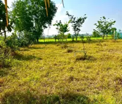 Bán gấp lô đất xã Hiệp Hòa tdt 6500m2 ( 300m2 thổ ) đường đá xanh 5m giá 5,5 tỷ