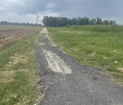 Bán gấp! Đất Đỗ Văn Dậy Tân Hiệp Hóc Môn 1ha, đầu tư sinh lời 39 tỷ.