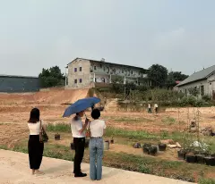 Đất đẹp - khu dịch vụ Phú Hà - Diện tích 208m² full thổ cư - Mặt tiền 10m
