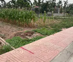 Bán đất nhà vườn mặt đường trục thôn Kính Trực, Tân Phong chỉ 1,9xx tỷ - ZALO 0567 222 555