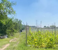 5.000M² NHUẬN ĐỨC – FULL THỔ CƯ – XƯỞNG + 20 PHÒNG TRỌ TẶNG KHÔNG