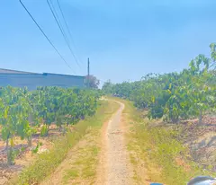 1,7 sào hẻm ql27, cây số 5, n'thôn cũ, đức trọng, lâm đồng