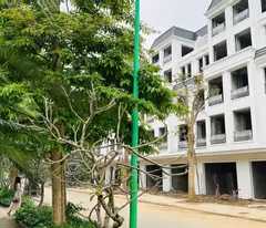 BÁN BIỆT THỰ CỔ BI DT 98M2 NGAY CẠNH TRƯỜNG HỌC CÓ Ô CHỜ THANG MÁY DÂN CƯ ĐÔNG ĐÚC NHỈNH 17 TỶ