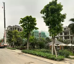 BÁN NHÀ Ở LIỀN KỀ CỔ BI DT 90M2 VÀI BƯỚC RA TRƯỜNG HỌC CÁC CẤP THOÁNG MÁT Ở SƯƠNG NHỈNH 15 TỶ