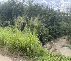 ĐẤT PHƯỚC VĨNH PHÚ GIÁO, NGÂN HÀNG THANH LÝ ĐẤT SẴN THỔ, DT 3553.7M2, NGANG 58M, Ô TÔ TIẾP CẬN