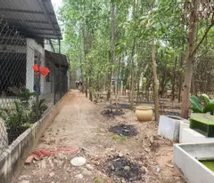 ĐẤT THẠNH PHƯỚC TÂN UYÊN, NGÂN HÀNG THANH LÝ ĐẤT NGANG 10M, SẴN 100M2 THỔ, DT 503M2, GIẢ 2 TỶ 352