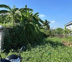 Bán đất Tân Thành, Dương Kinh - Đầu ngõ 199, vị trí cực đẹp - ZALO 0567 222 555