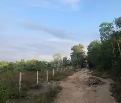 Bán đất nền thôn Bình Minh,Xã Quy Mông,Trấn Yên,Yên Bái