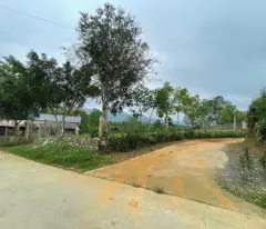 Bán đất nền cạnh dự án Thôn Bình Minh,Xã Quy Mông,Huyện Trấn Yên,Yên Bái