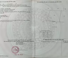 Bán 1,6 hecta đất ở xã Xuân Thới Thượng, Hóc Môn, Hồ Chí Minh giá 2,5tr/1m2