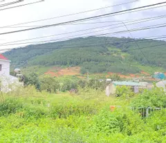 Tổng 4200m2 đất mặt tiền ql20, hiệp an đức trọng, lâm đồng