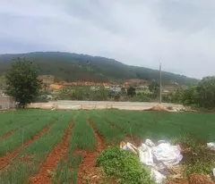 Tổng 4200m2 đất mặt tiền ql20, hiệp an đức trọng, lâm đồng