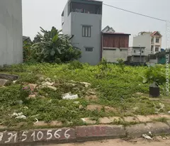 Bán đất 100m2 tuyến 1 Văn Cú An Dương Hải Phòng