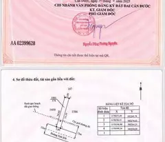Bán nền thổ cư mặt tiền ĐT 830 , xã Long Hòa , Cần Đước dt 174m2 giá 3 tỷ