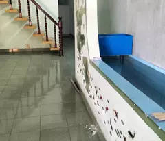 Cho Thuê Nhà Phong Châu – 120m² – Hẻm Ô Tô – Chỉ 6tr/th