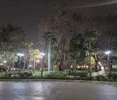 KHI LÁ PHỔI XANH TRỞ THÀNH VIEW TRIỆU ĐÔ CHO VIỆC KD CỦA BẠN