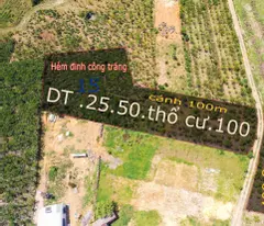 BÁN ĐẤT VIEW ĐẸP TẠI TP. BẢO LỘC – GIÁ CHỈ 1,4 TỶ/SÀO