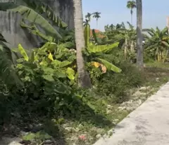 Bán đất thôn 3 Bắc Sơn An Dương Hải Phòng
