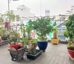 Hẻm xe hơi Gò Dầu, 84m2, 4 tầng, nhỉnh 7.xx tỉ - Tân-Sơn Nhì Tân-Phú . Ngay Aeon Tân-Phú