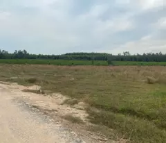 Bán 2 sào đất mặt tiền Lê Đức Thọ - Tân Bình - LaGi giá ngộp 800 triệu
