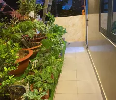 Nhà mới xây cho thuê, thiết kế hiện đại, sạch sẽ, dọn vào ở ngay.