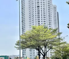 Bán nhà mặt phố q7 trần xuân soạn: 1322m2, 3 tầng, 30pn, 32wc - giá 265 tỷ - sổ hồng, vị trí vàng,