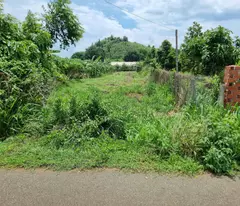 CẦN BÁN 1000m² ĐẤT MẶT TIỀN ĐƯỜNG NHỰA – LONG PHƯỚC, TP. BÀ RỊA (P. TAM LONG, TP. HCM)