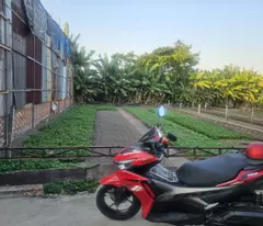 BÁN NHANH LÔ ĐẤT ĐẸP HẺM XE HƠI – GIÁ TỐT TẠI BÌNH CHÁNH.