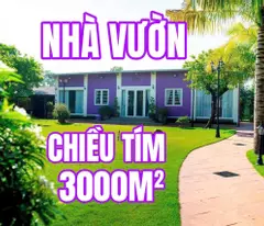 BÌNH MỸ – “NHÀ VƯỜN MÀU TÍM” 3.000M² NGỘP NGÂN HÀNG – GIẢM SỐC 2 TỶ