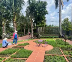 BÌNH MỸ – “NHÀ VƯỜN MÀU TÍM” 3.000M² NGỘP NGÂN HÀNG – GIẢM SỐC 2 TỶ