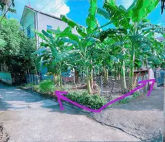 50m lô góc đan phượng . hà nội. giá đầu tư
