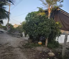 Bán 5m x 35m đất hẻm Nguyễn Tri Phương - Tân Bình - LaGi 350 triệu giấy tay