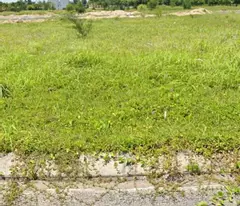 Chính chủ không qua trung gian!