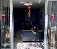 Nhà Đường Bùi Thị Xuân Phường 2 Cũ Quận Tân Bình.
