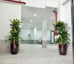 🏡 BÁN TÒA APARTMENT VƯƠNG THỪA VŨ - THANH XUÂN - 95M2 - 7 TẦNG TM - MT 8.4M - DÒNG TIỀN 1.5